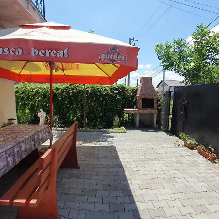 Casa Alexandru ホームステイ コスティネシュティ