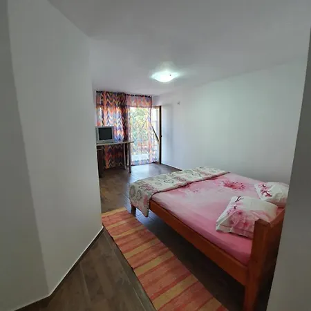 ホームステイ Casa Alexandru