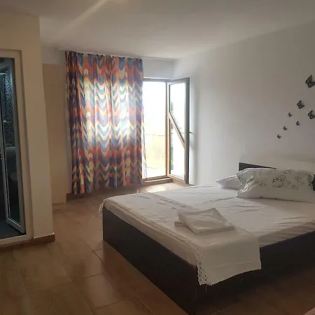 Casa Alexandru ホームステイ コスティネシュティ